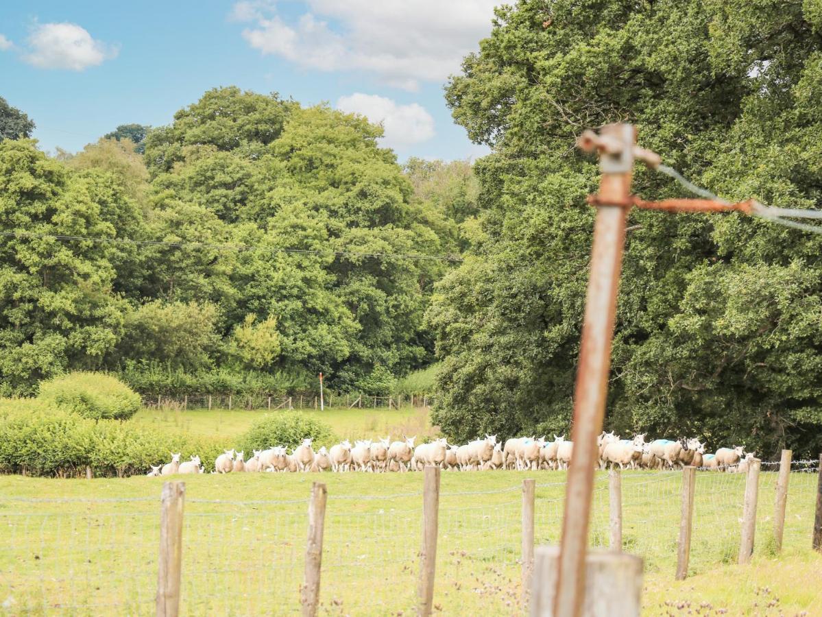 Holly Farm Cottage Newbridge on Wye Esterno foto