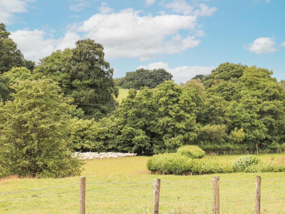 Holly Farm Cottage Newbridge on Wye Esterno foto